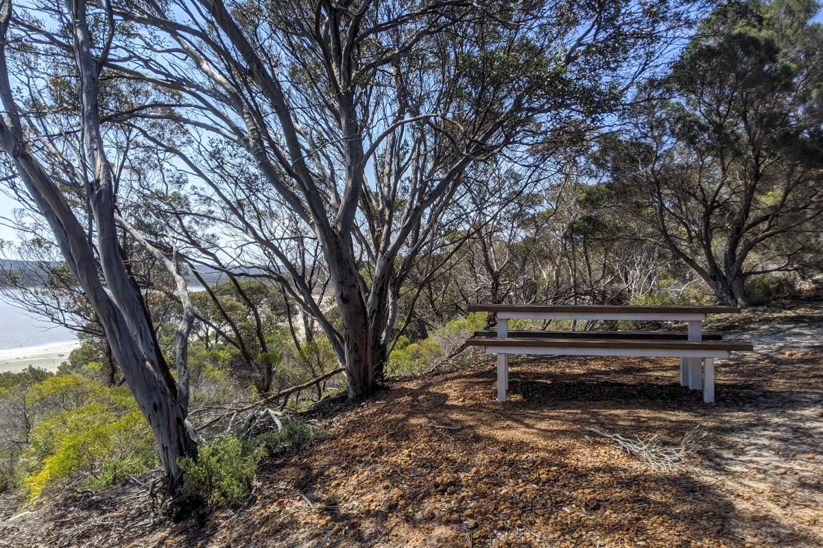 Picnic bench in the shade of trees, with a view of Hamersley Inlet
