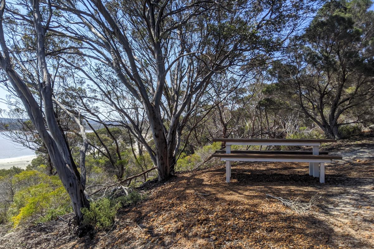 Picnic bench with views of Hamersley Inlet Picnic bench in the shade of trees, with a view of Hamersley Inlet