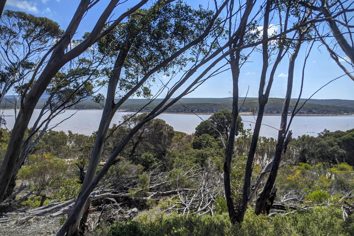 View of Hamersley Inlet from the picnic area