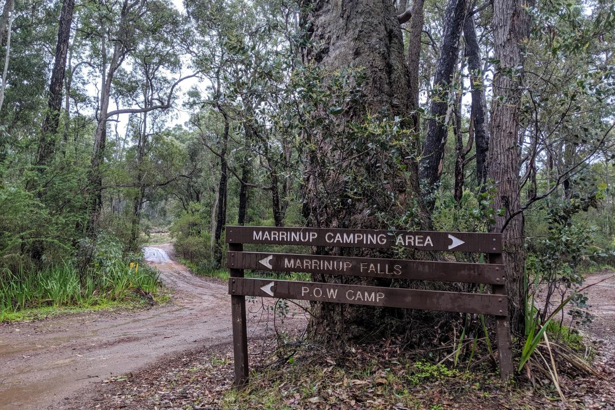 Gravel roads through Marrinup State Forest