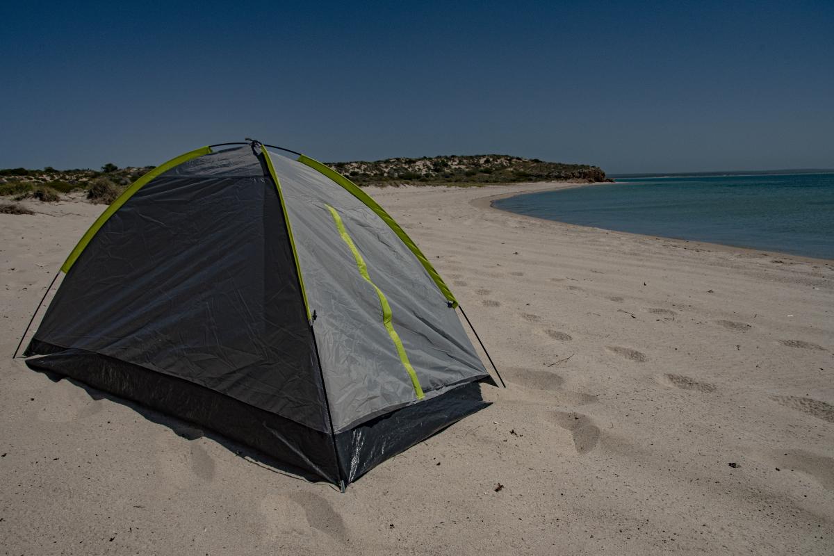 Beach camping at Notch Point - Dirk Hartog Island National Park tent on the beach beside a calm ocean at Notch Point