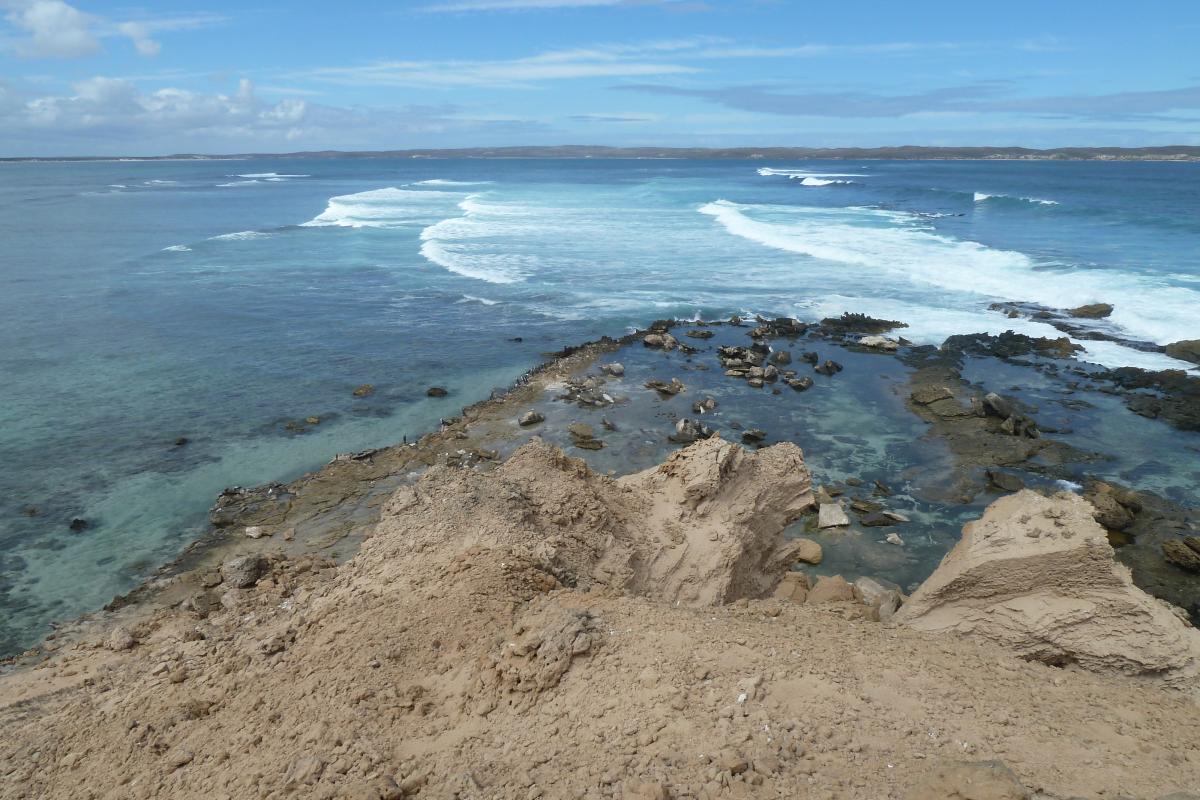 surf point with waves in the background