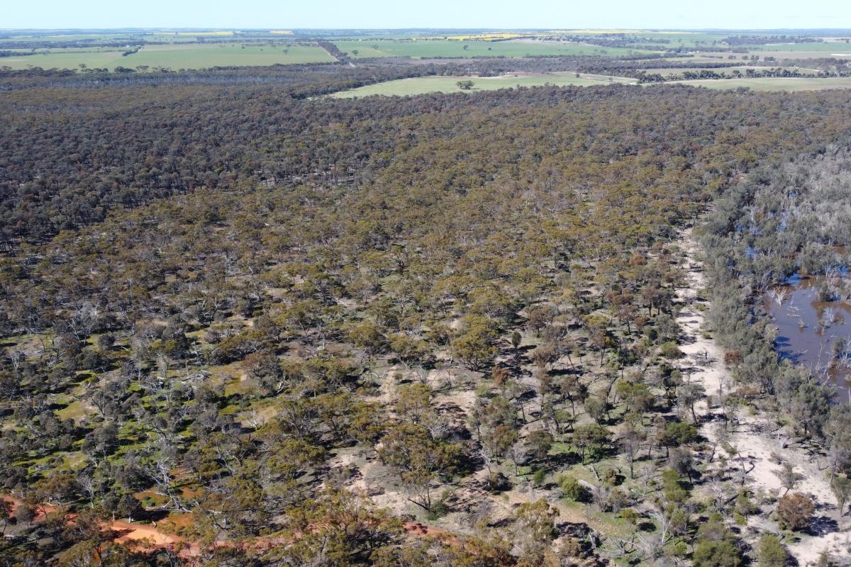 Aerial view of Toolibin Nature Reserve