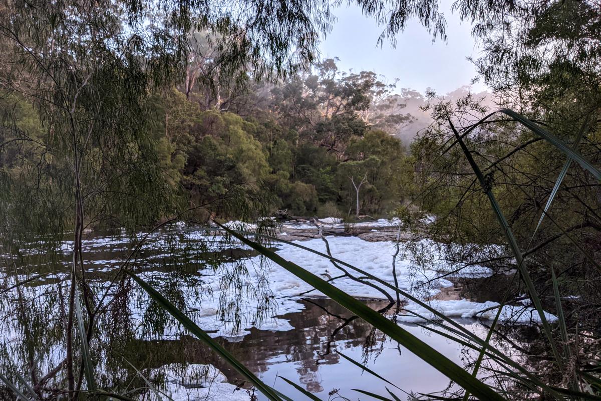 Frankland River in Walpole-Nornalup National Park Frankland River in Walpole-Nornalup National Park