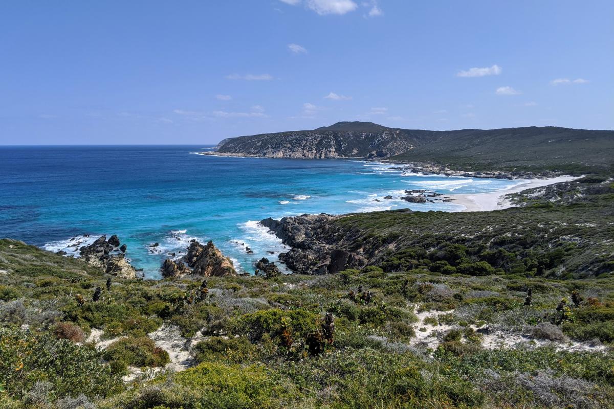 West Beach viewed from Cave Point