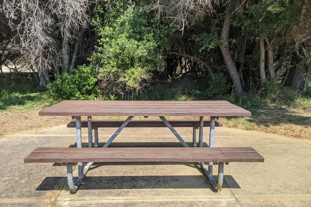 Picnic bench at Belvidere Picnic bench at Belvidere