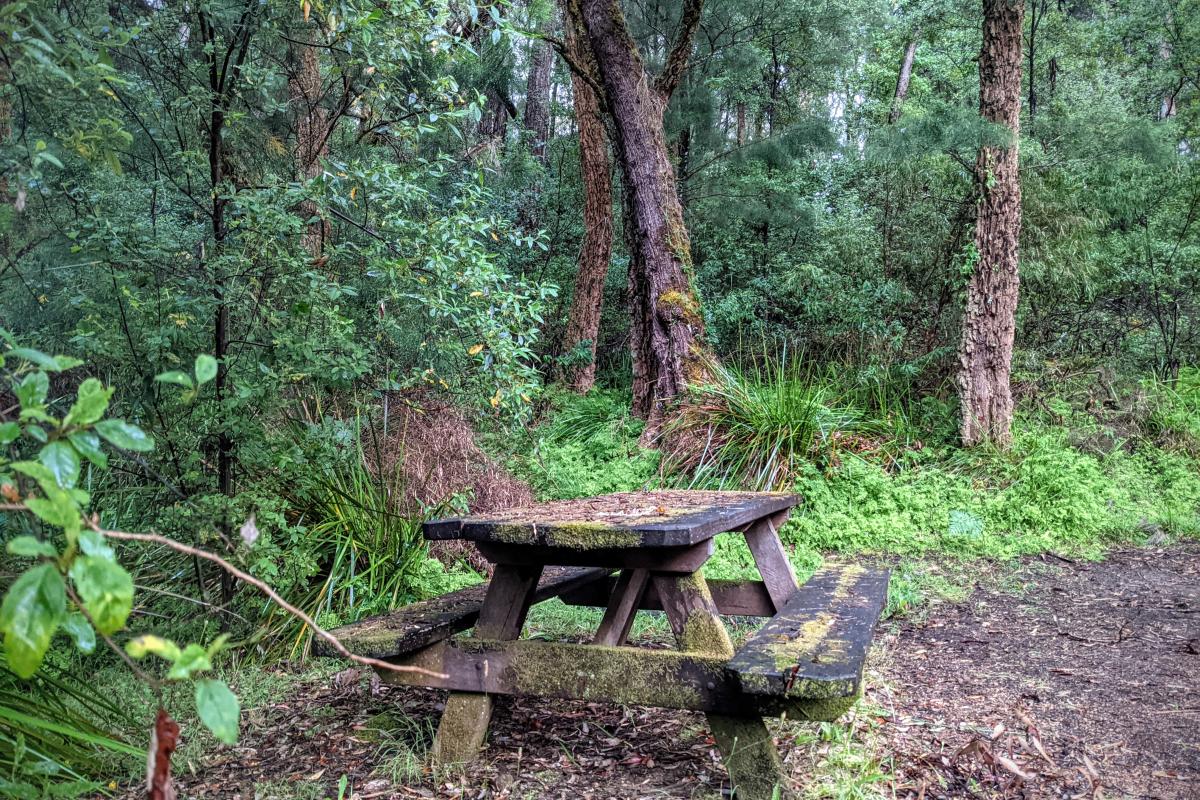 Picnic bench at Blackbutt in Warren National Park