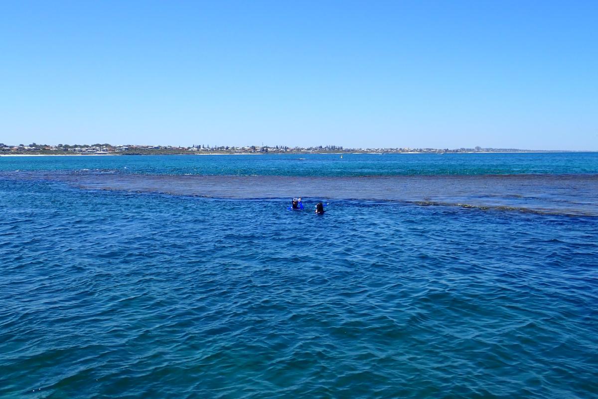 Exploring the sea at Boyinaboat Reef Blue waters of Boyinaboat Reef