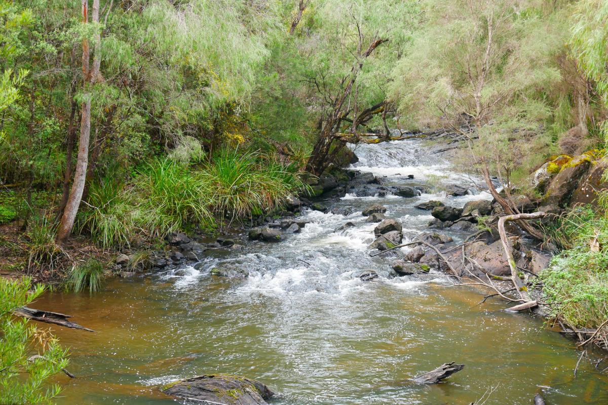 Cascades at Gloucester National Park Cascades at Gloucester National Park