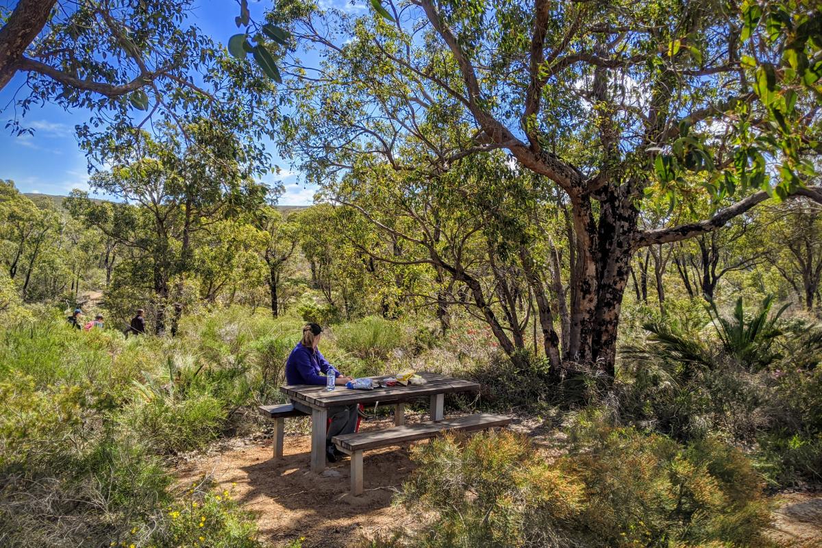 Picnic area at Cockleshell Gully