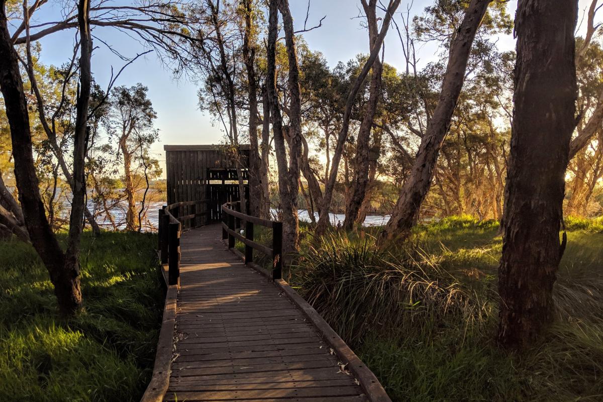 Bird hide at Herdsman Lakes