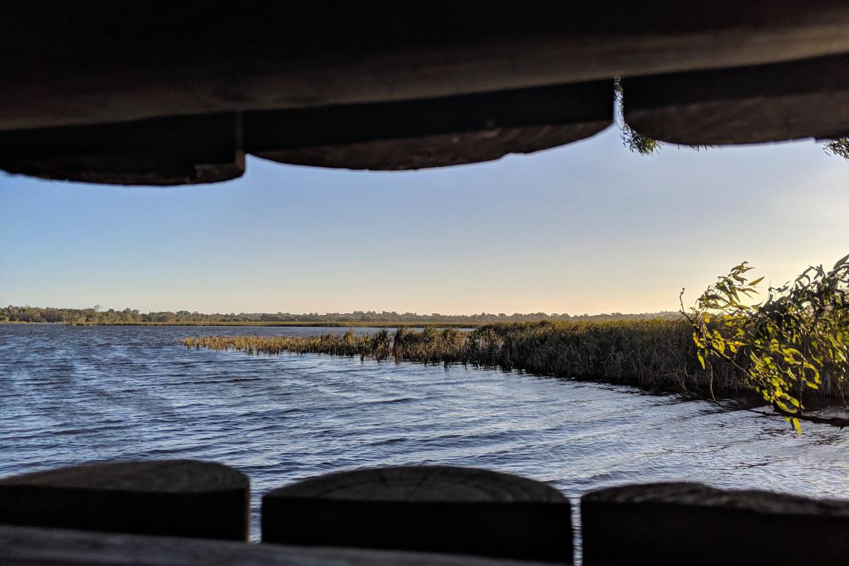 View from a bird hide at Herdsman Lakes View from a bird hide at Herdsman Lakes