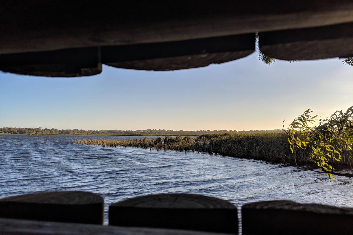 View from a bird hide at Herdsman Lakes