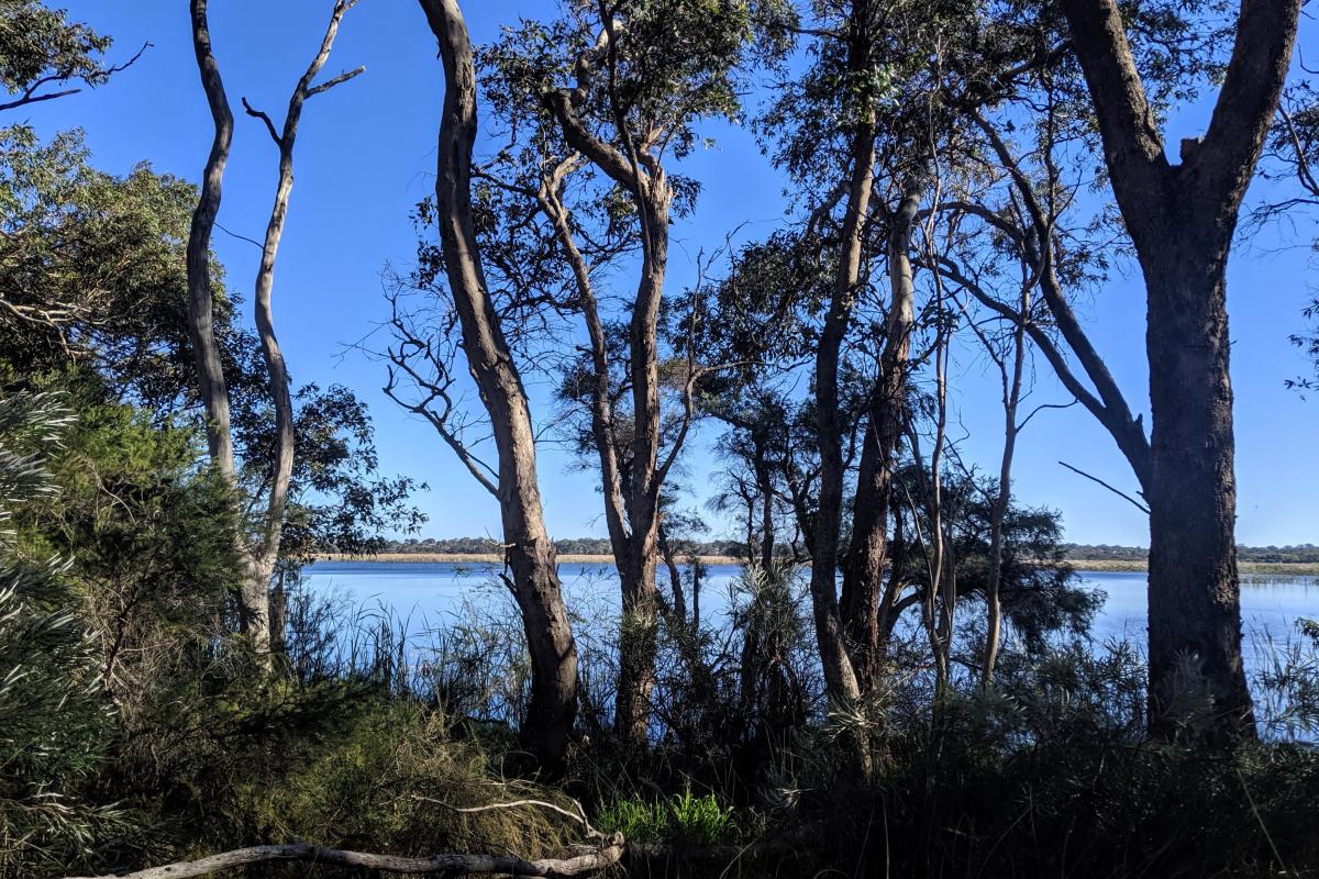 Herdsman Lakes Herdsman Lakes