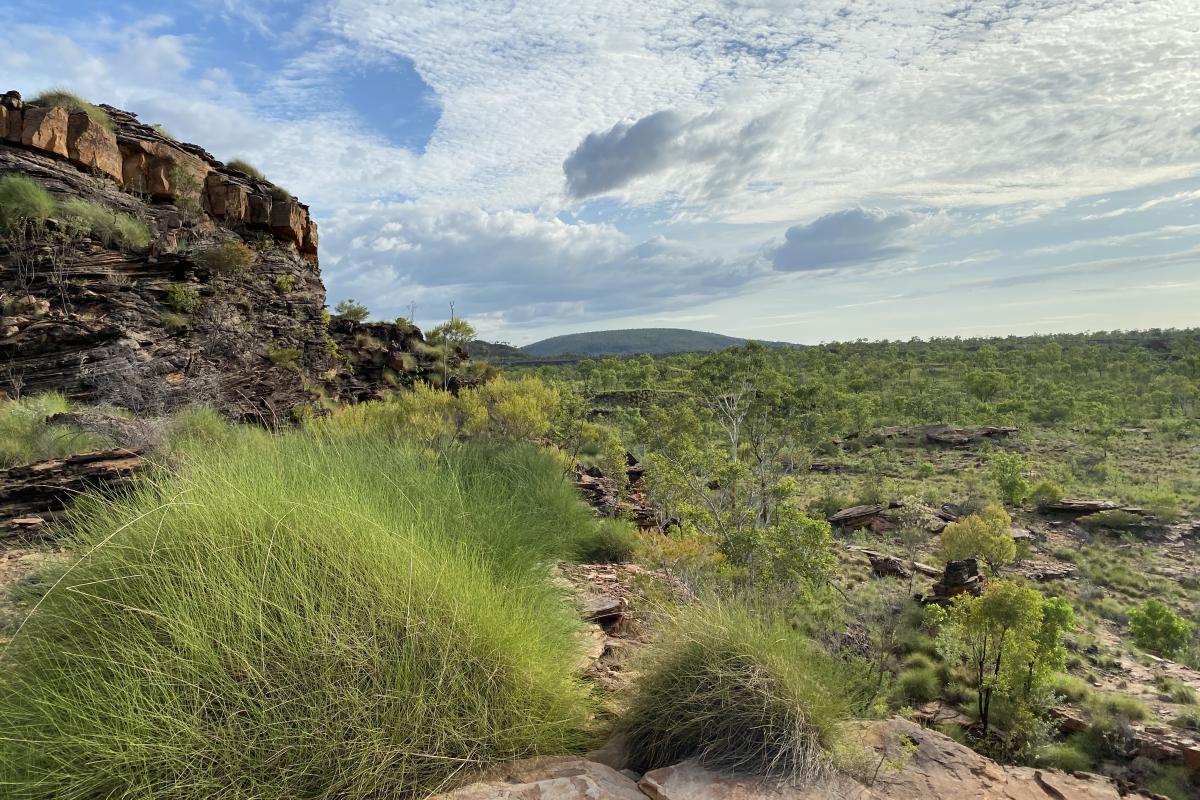 looking north east from the lookout showing Mount Cecil