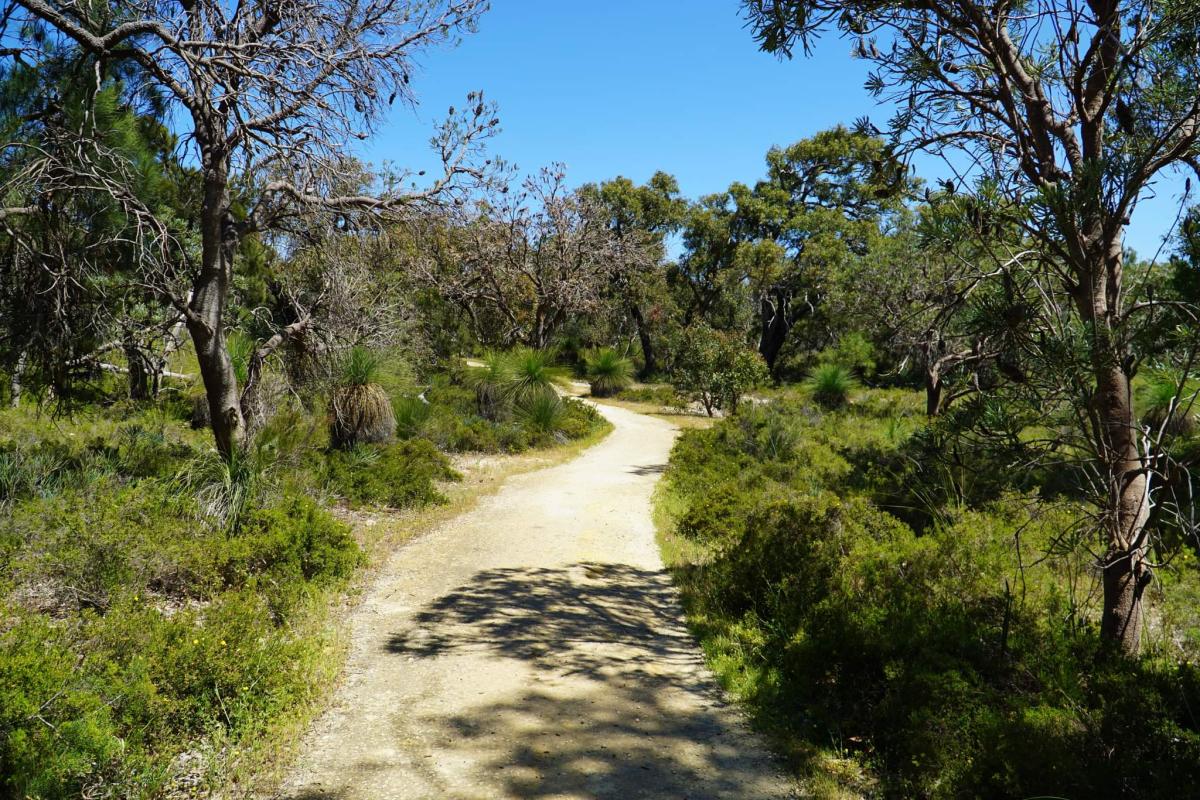 Yaberoo Budjara Heritage Trail in Neerabup National Park Yaberoo Budjara Heritage Trail in Neerabup National Park