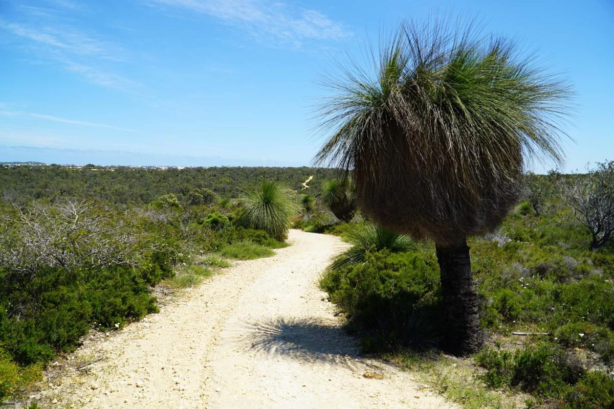 Yaberoo Budjara Heritage Trail in Neerabup National Park