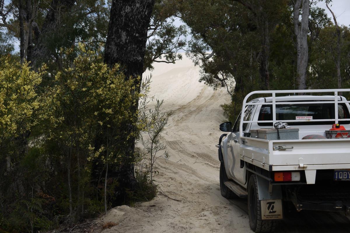 Sandy track at Yeagarup Dunes Sandy track at Yeagarup Dunes