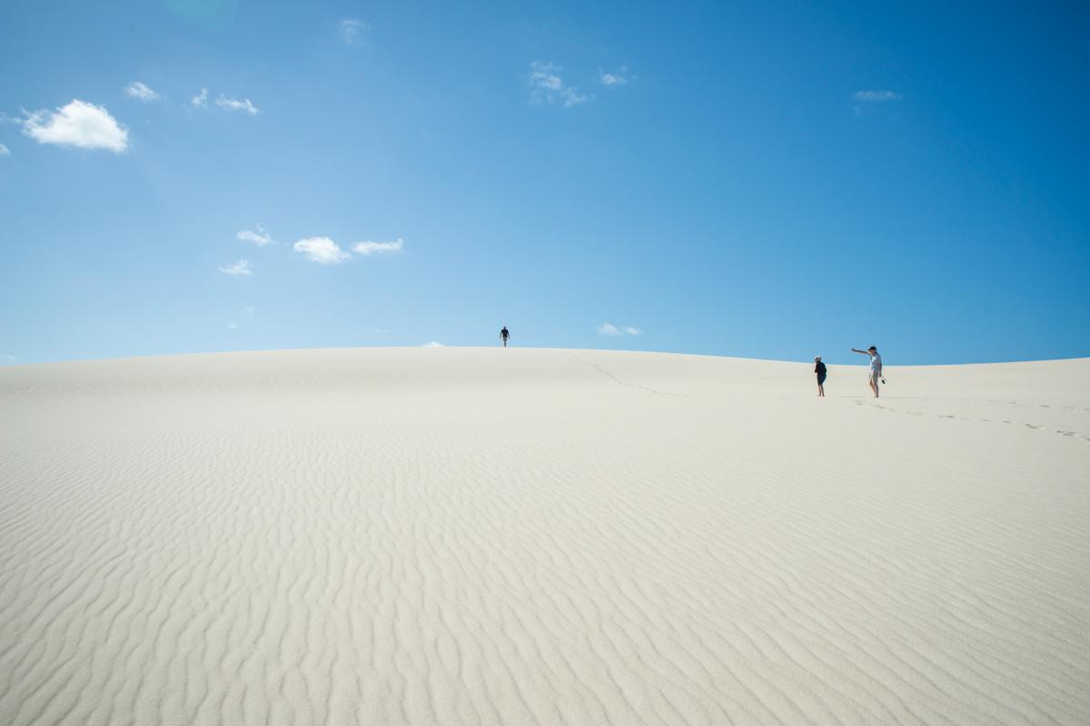 Yeagarup Dunes