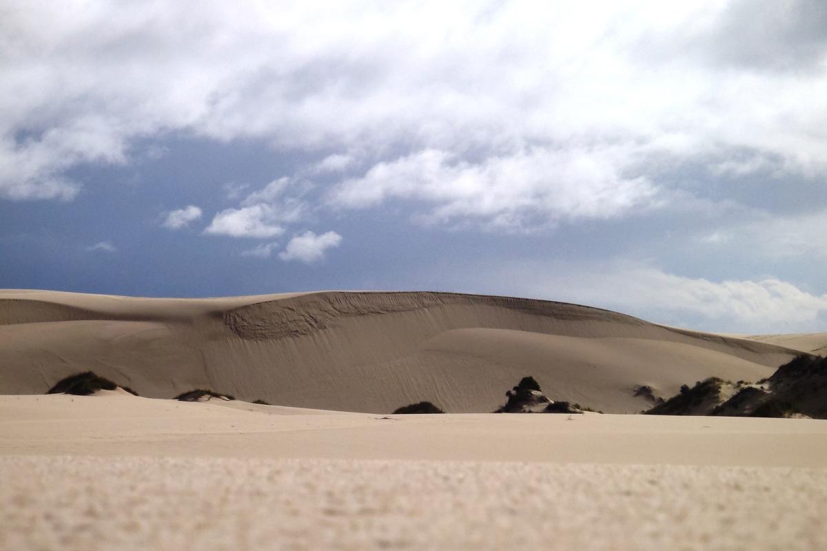 Yeagarup Dunes Yeagarup Dunes
