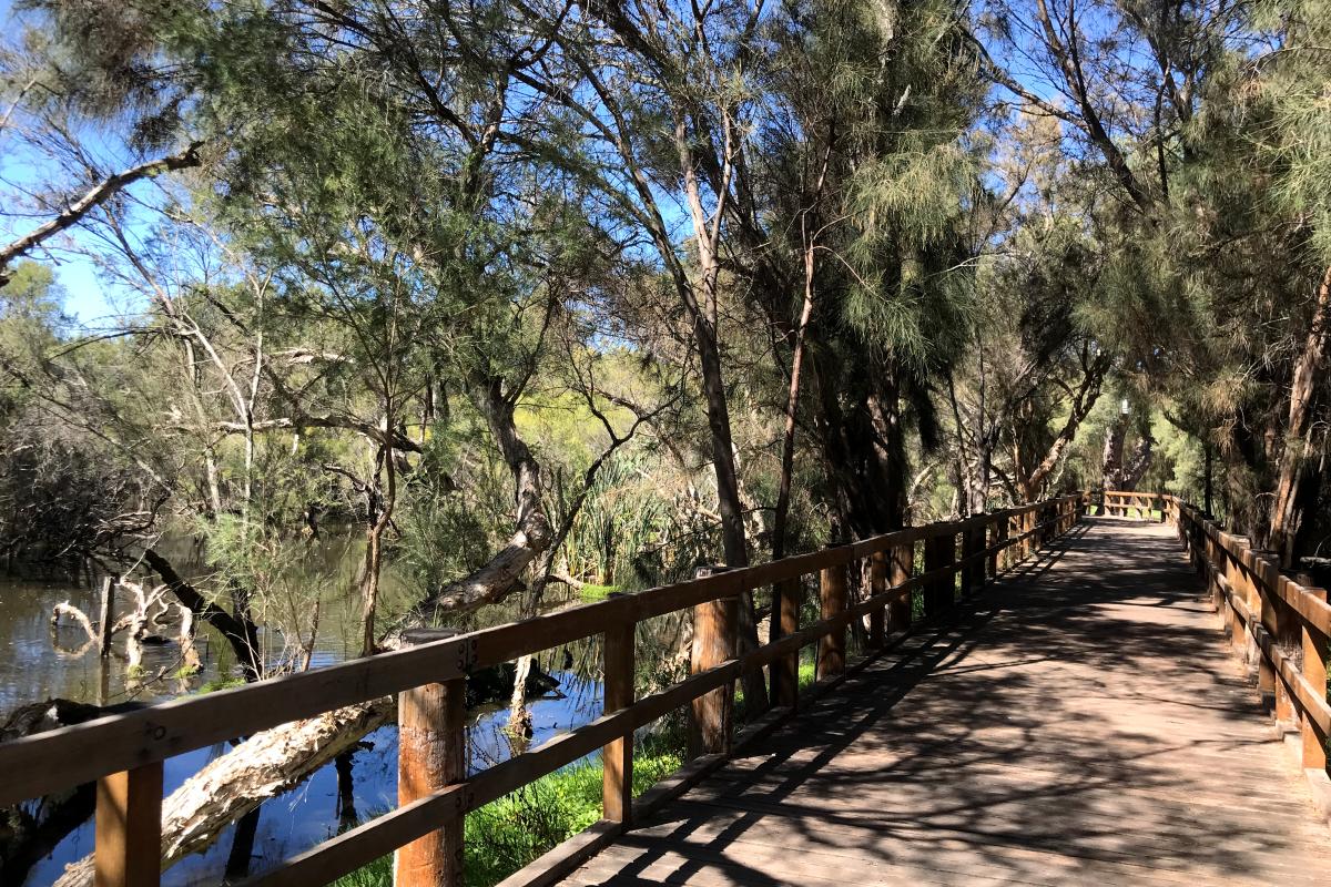 Accessible wooden boardwalk along Canning River