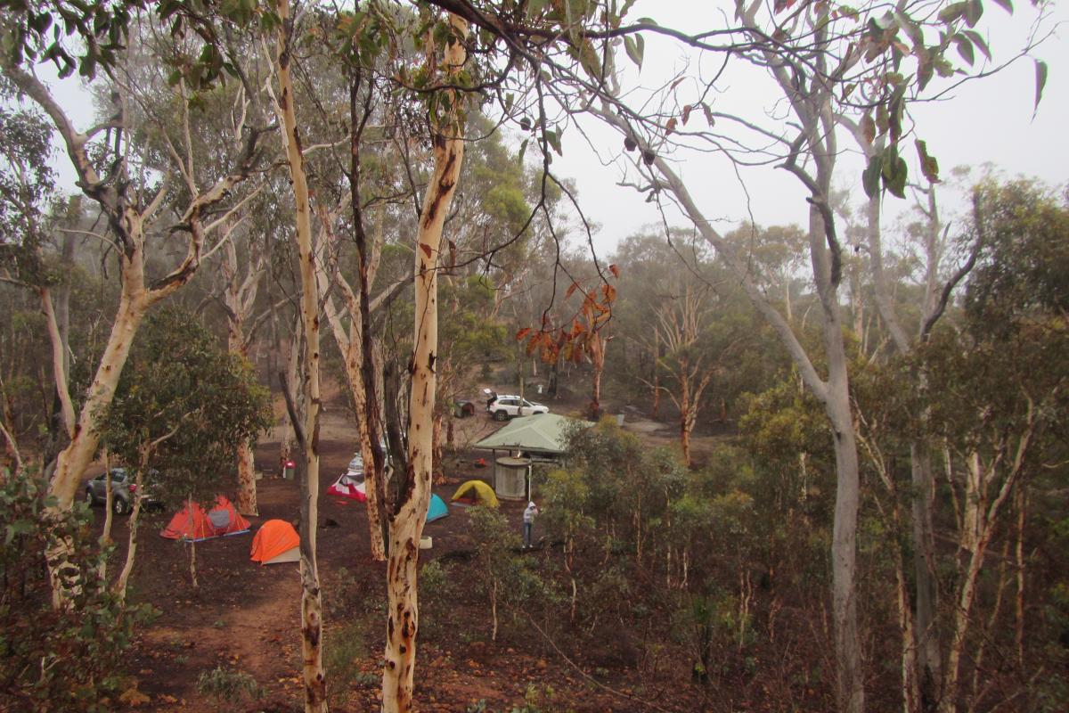 Camping at Bald Hill