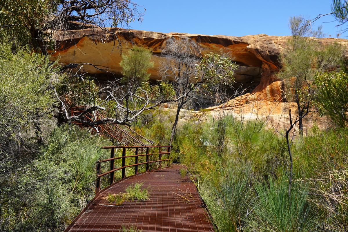 cave-hill-boardwalk