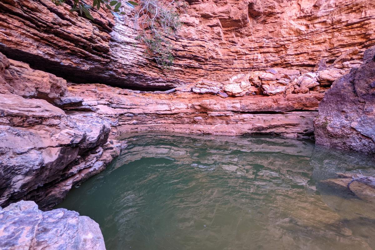Waterhole at the end of Draper's Gorge