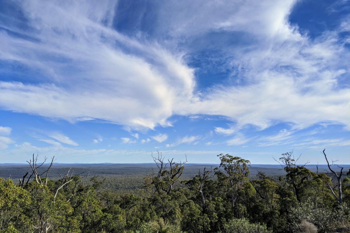 cloudy blue skies over the Dwellingup State Forest