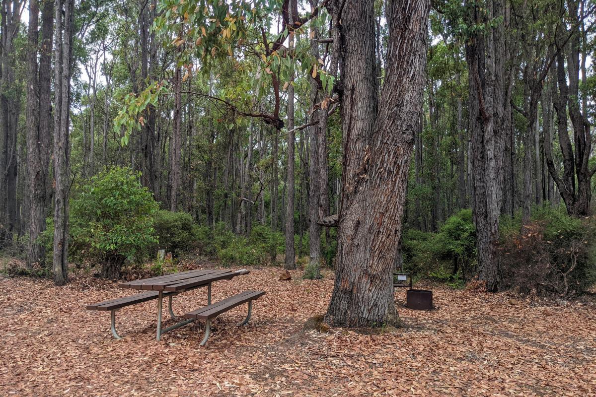 Campsite at Hoffmans Mill with a picnic bench and fire ring Campsite at Hoffmans Mill with a picnic bench and fire ring