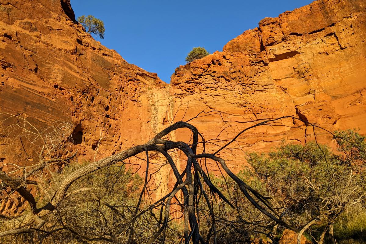 Honeycomb Gorge in the morning light Honeycomb Gorge in the morning light