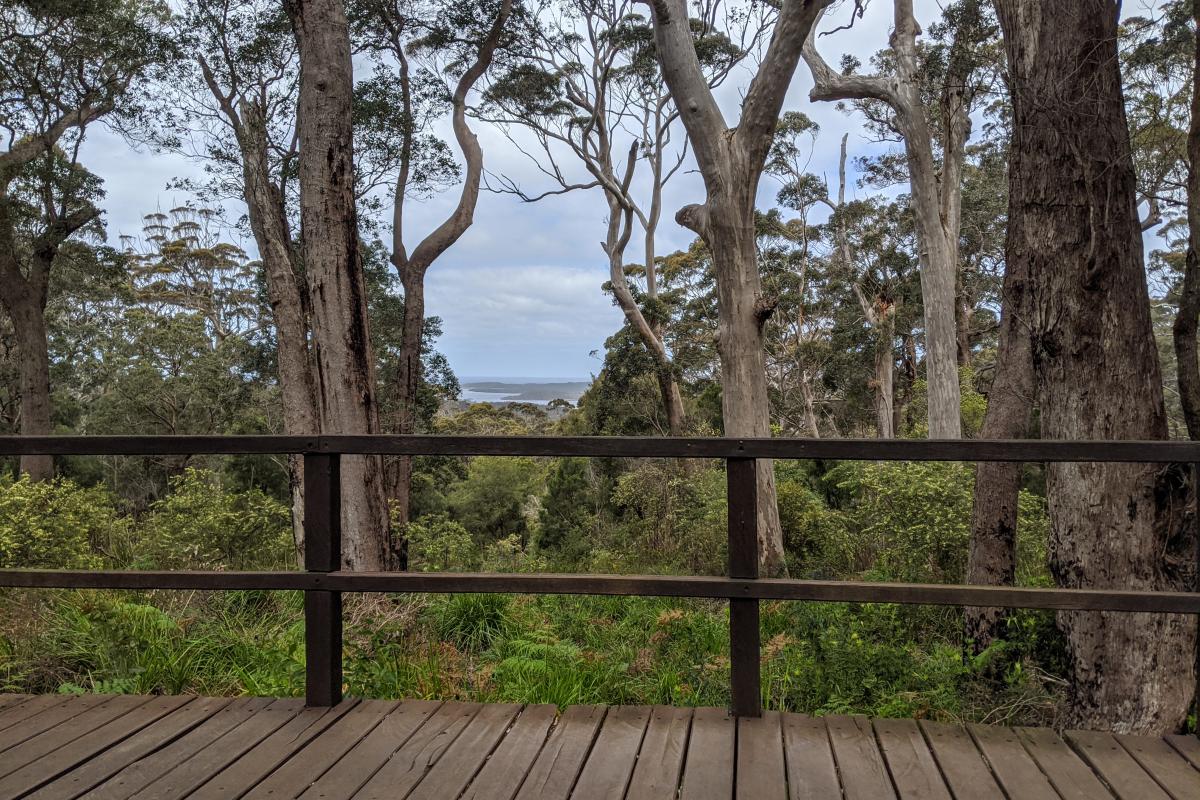 John Rate Lookout John Rate Lookout