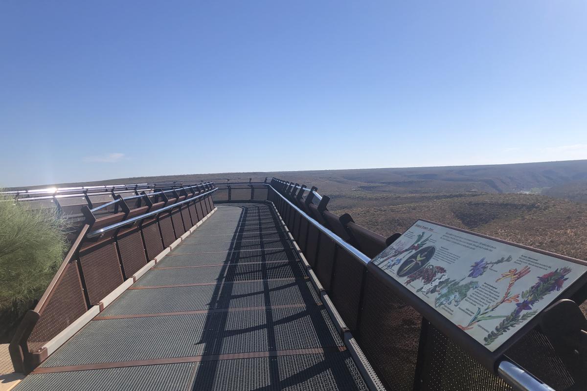 Kalbarri Skywalk