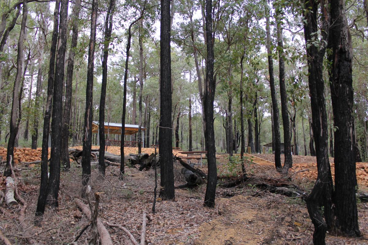 view through the trees of the sheltered picnic and barbecue facility