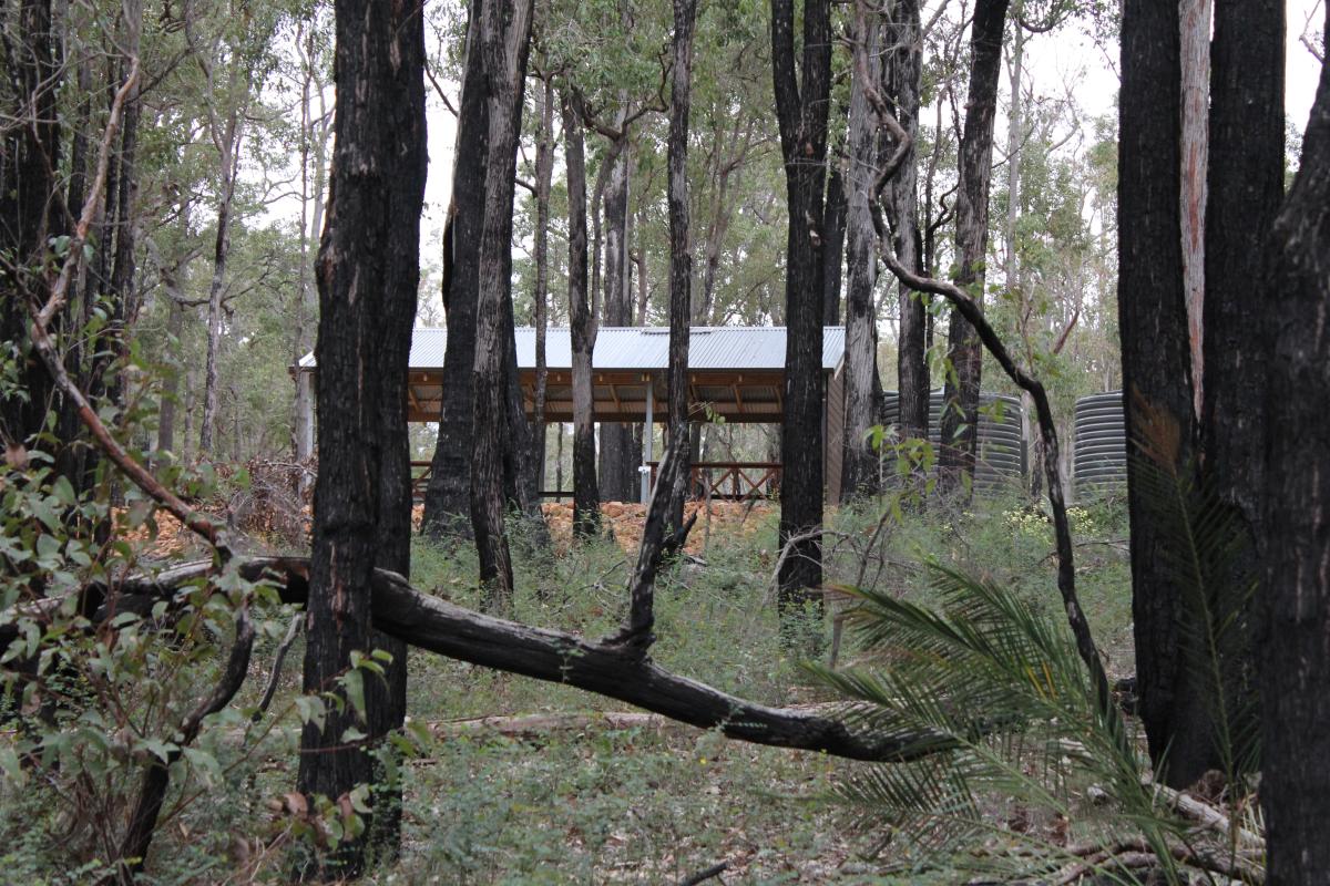 sheltered picnic area and cooking facilities surrounded by forest