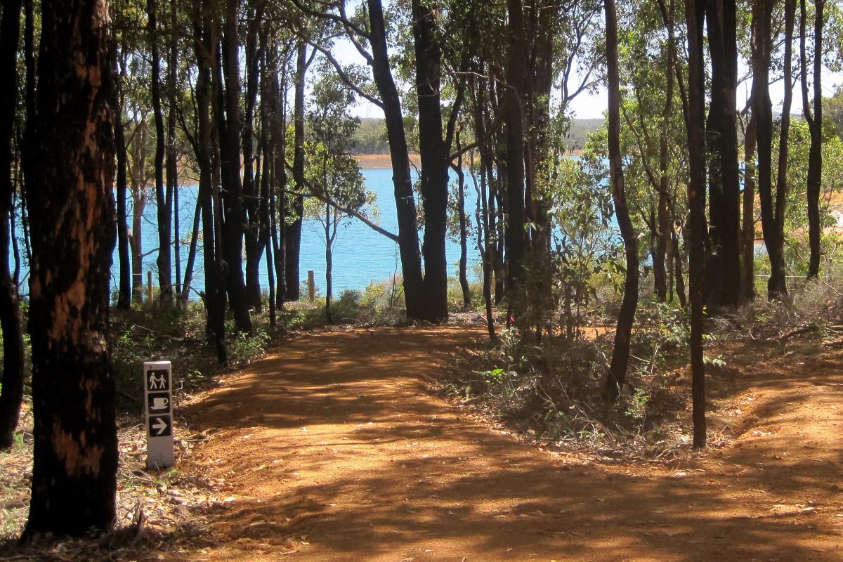 logue brook walk trail to the kiosk