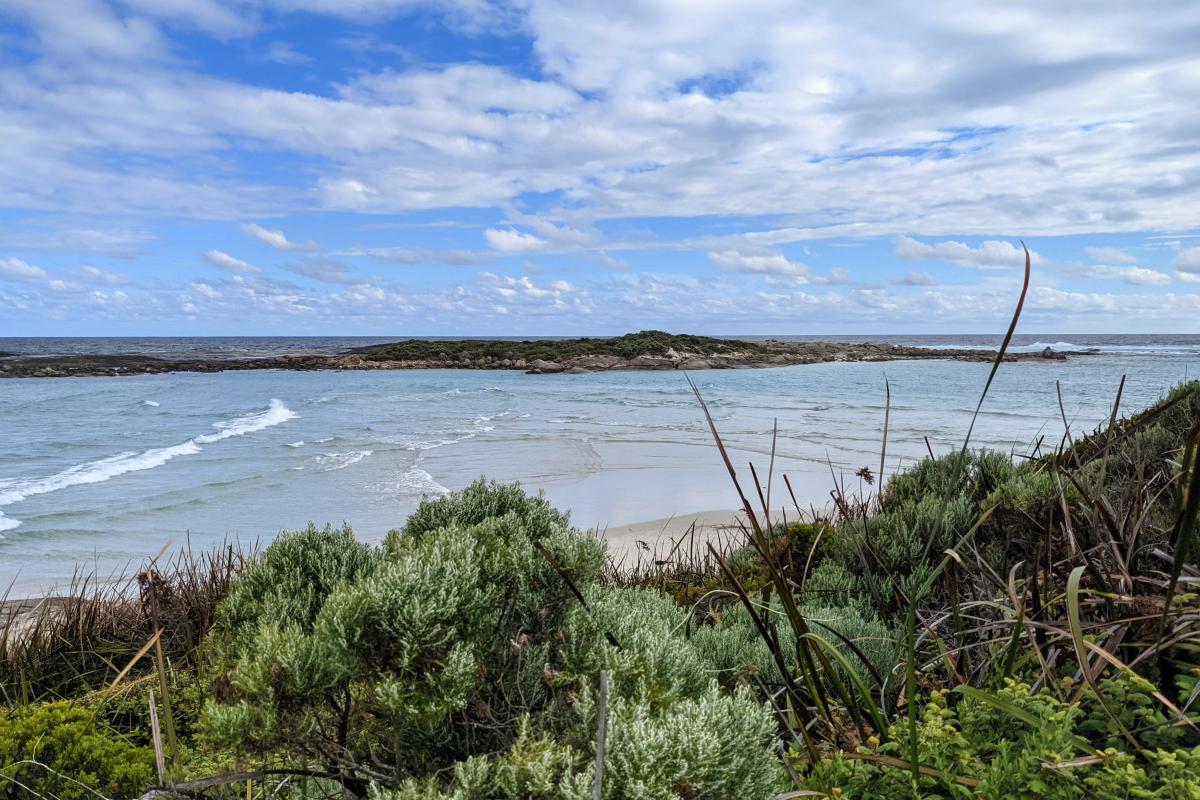 Madfish Island off the coast alongside Madfish Bay