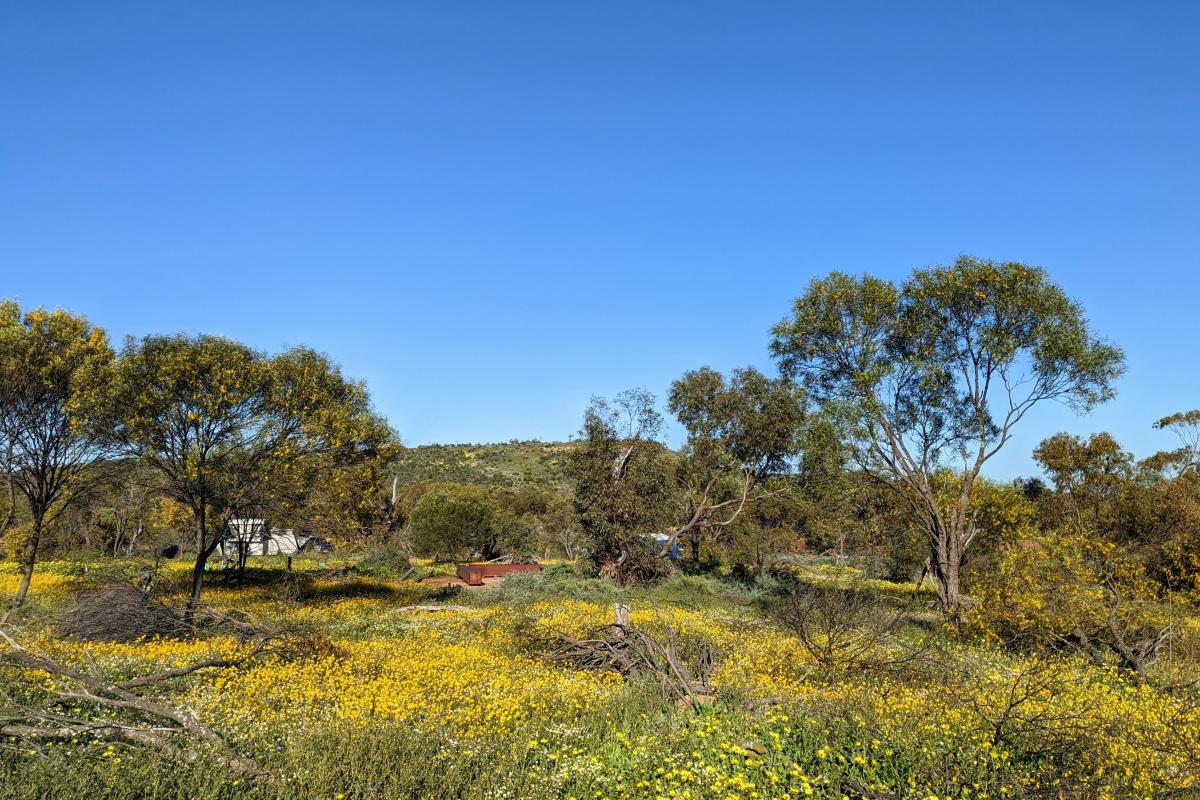 Miners Campground