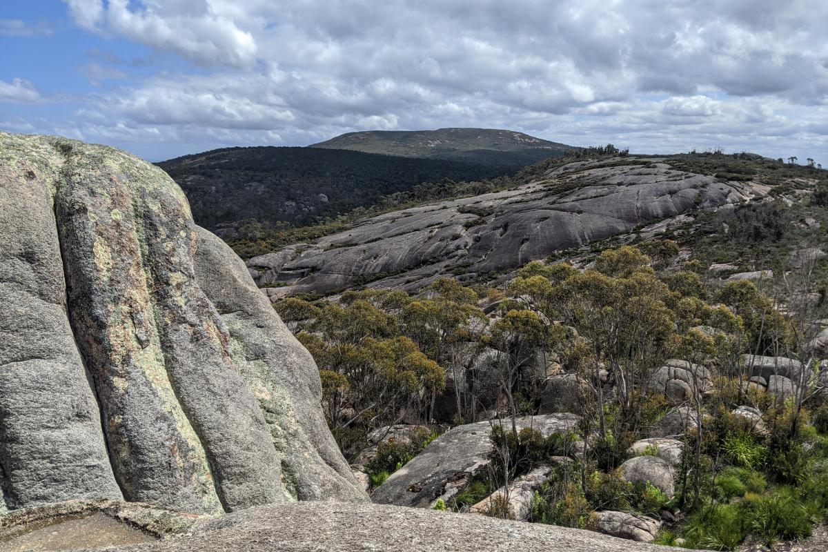 Granite outcrops in Mount Lindesay National Park