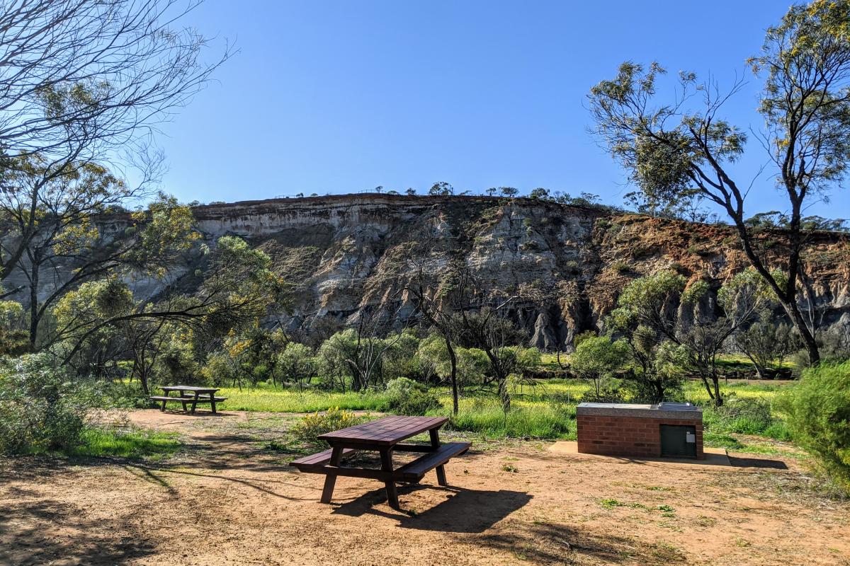 Picnic tables and barbecue area at Riverbend