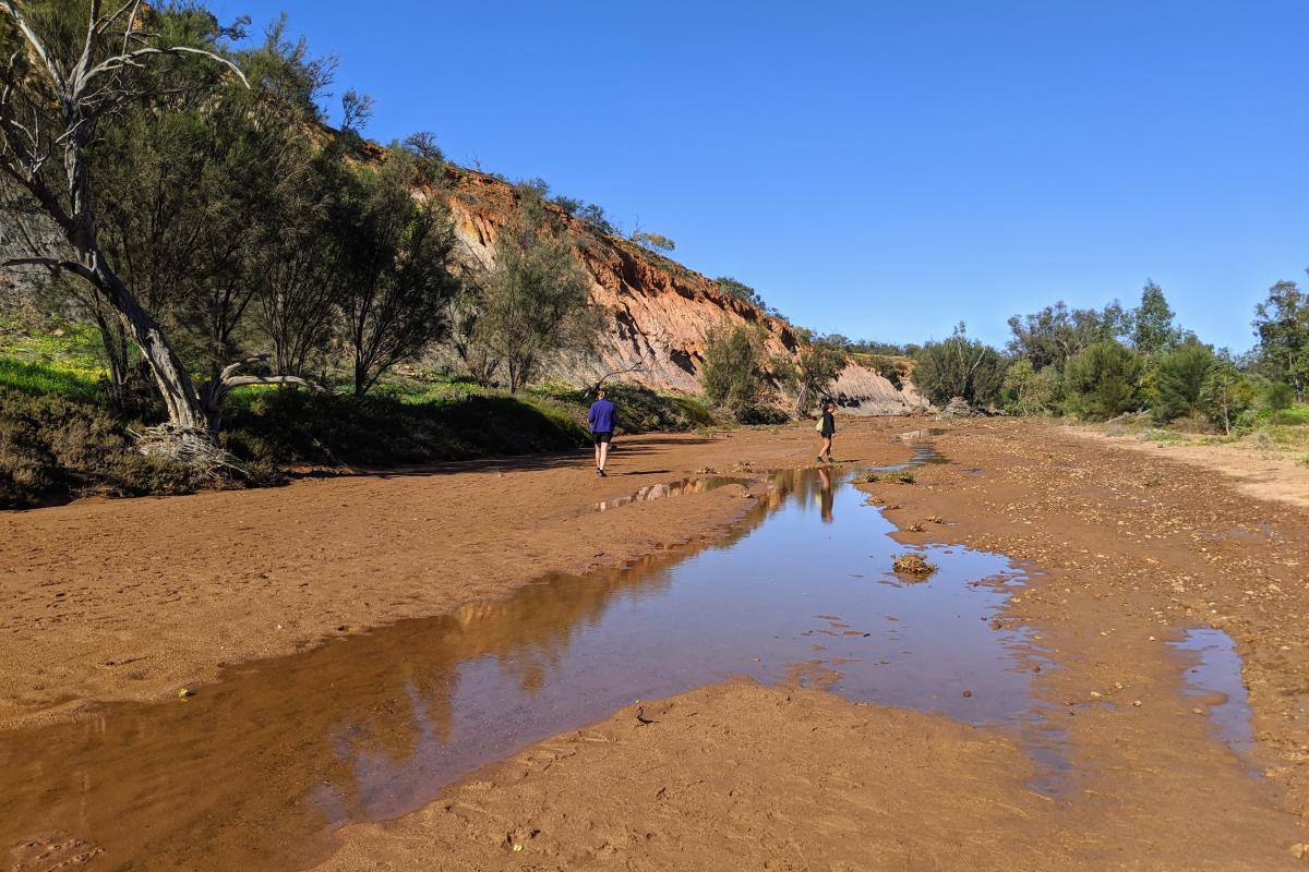 Riverbend people walking in the riverbed at Riverbend after some rain
