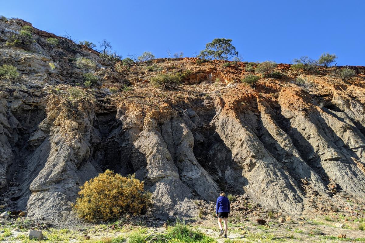 Layers of rock at Riverbend in Coalseam Conservation Park