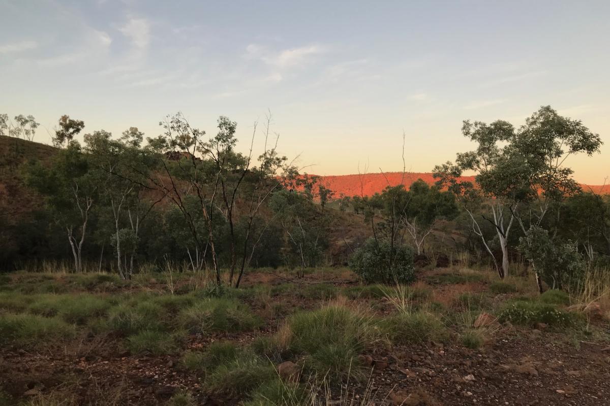 the late sun lights up the range in the distance