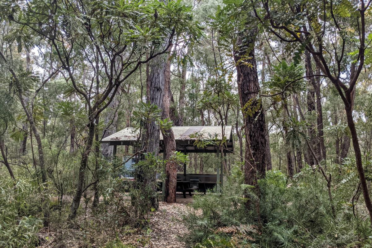 Sues Bridge Campground in the jarrah/marri/banksia forest Sues Bridge Campground in the jarrah/marri/banksia forest