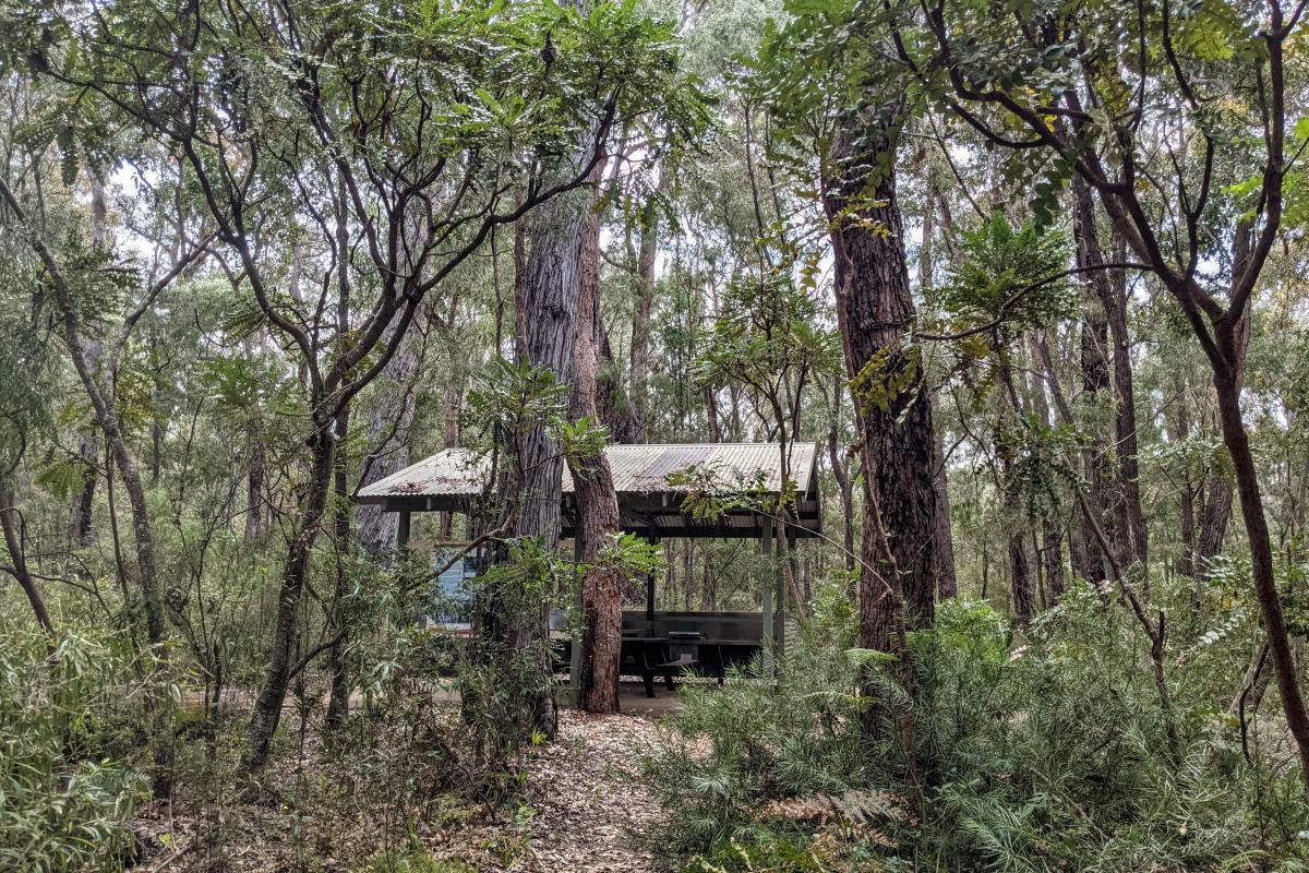 Sues Bridge Campground in the jarrah/marri/banksia forest