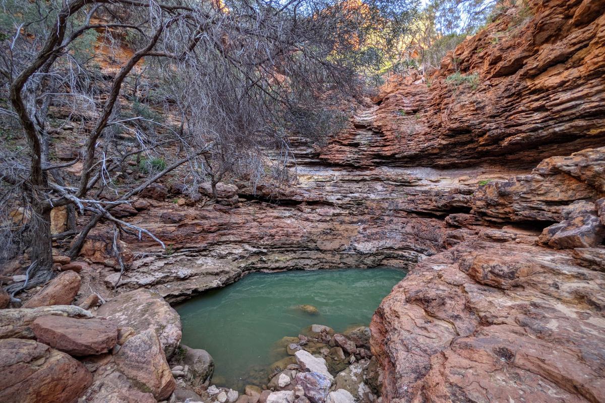 Small waterhole at the end of one of the gorges in Temple Gorge
