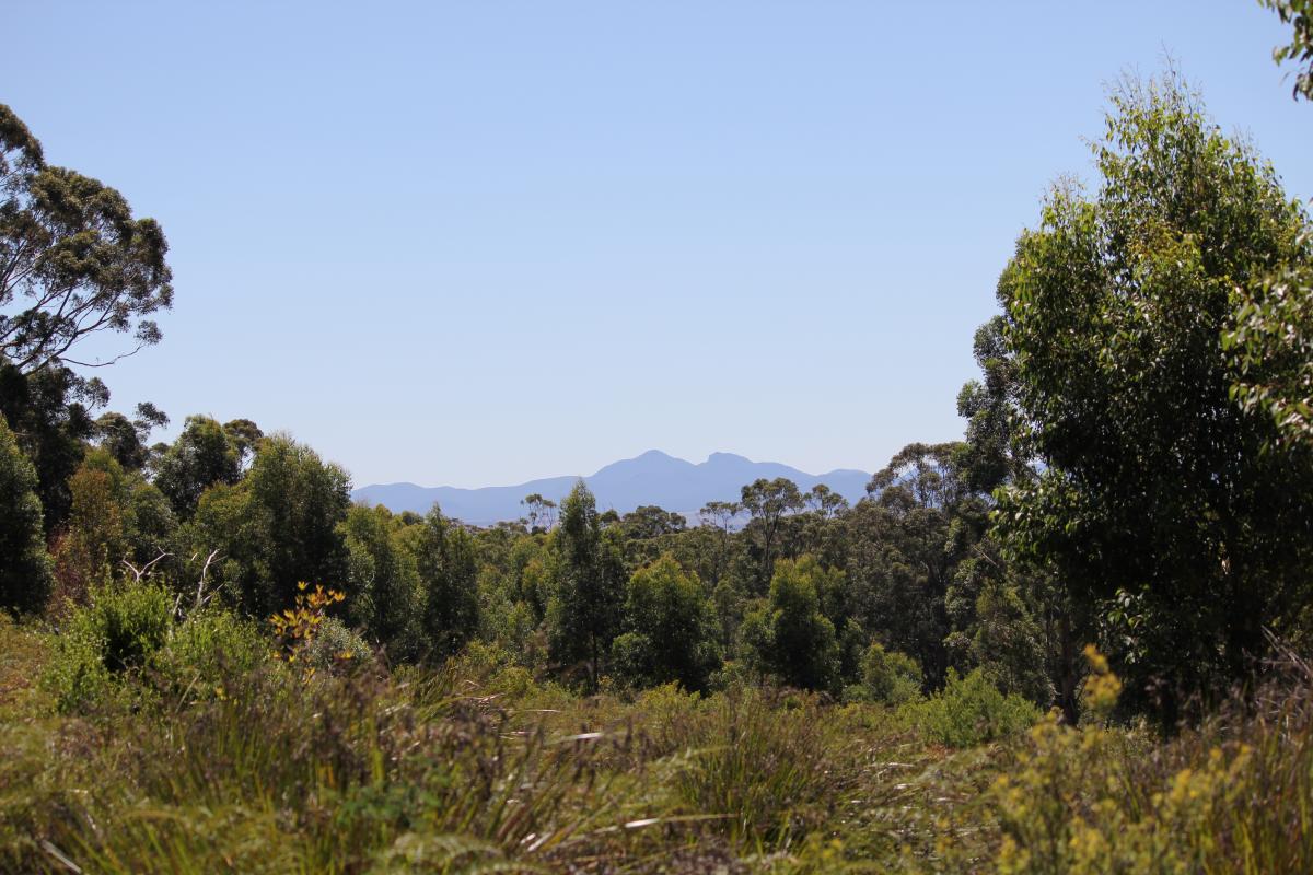 Walitj meil walk trail views of the stirling range in the distance