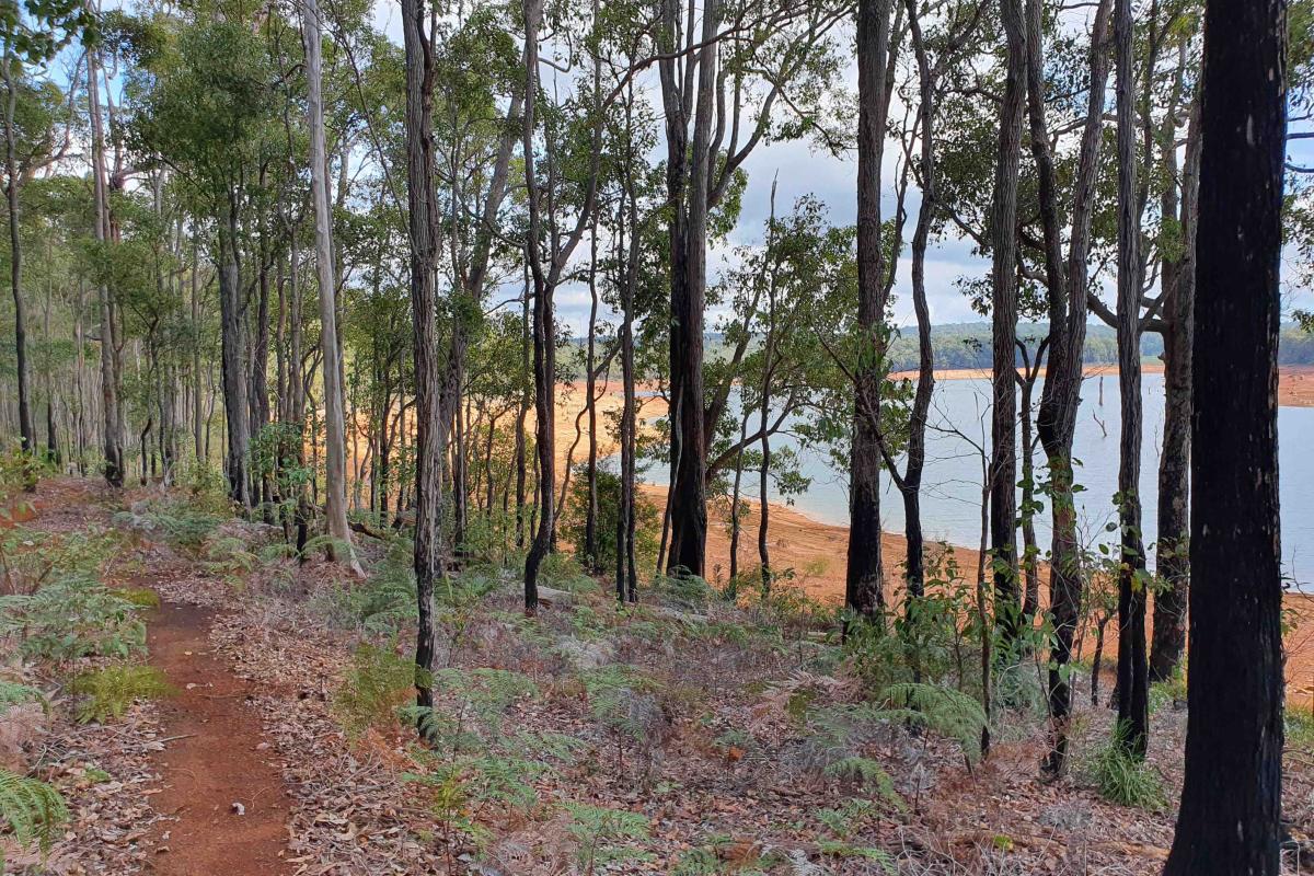 Wiilman Bilya Trail that takes you around Wellington Dam in Wellington National Park