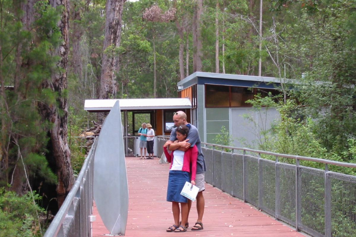 Two people reading interpretive signs on the boardwalk of the tree top walk