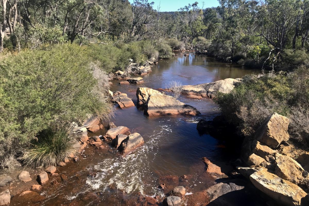 Bushland setting with water flowing from Wellington Dam